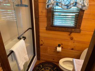 Cabin on Gold Mine Hill - Hendersonville - 2