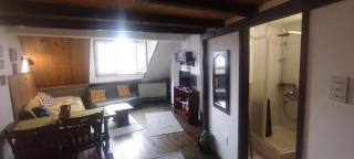 Bele Staze 84, Ski tavanče, Brzeće - 7