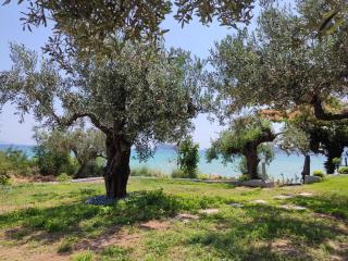 elia by the sea - 0