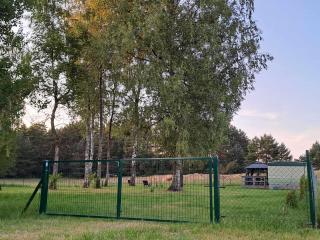 Domek holenderski ZaCisze - 1