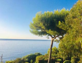 Villa Cannes directly on the sea - Cannes - 0