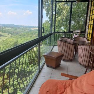 Lodging Vidmar - Sremski Karlovci - 7