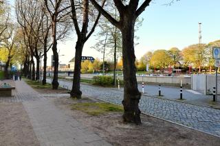 Ferienwohnungen -Am Strom 41- in Warnemünde - Warnemünde - 8