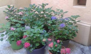 Chambre d'hôte d'une maison de chanoine - pas un hôtel, 3ème étage, 3 pièces, 90m2 - 2