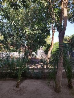 Gabawy Garden Ferienwohnung - 8