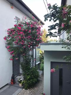 Downtown House with garden - Sarajevo - 7
