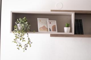 Apartman Vas dom 2 - Kraljevo - 2