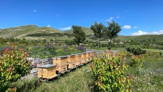 Tooi-Tooi EcoLodge - Krashen - 6