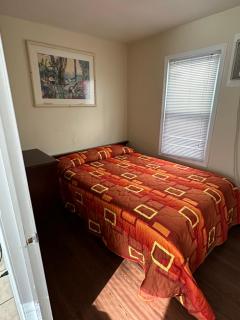 Shore Beach Houses - 43A Lincoln Ave - 9