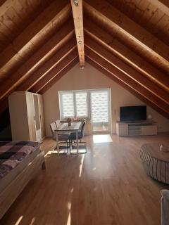 Ferienwohnung Zentral in Lörrach - KONUS Gästekarte inklusive - Lörrach - 1