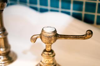 La Ferme du Bois de Plottes - Plottes - 2