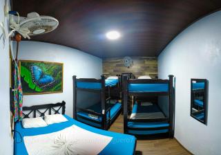 Hostel Tortuguero 7BackPackers - Tortuguero - 3