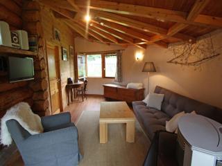 Chalet en Rondins Au Cœur de la Nature avec Confort Moderne près de Strasbourg - FR-1-589-228 - Le Saulcy - 1