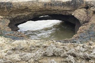 Appartement à 1km des plages avec 2 vélos élec - Royan - 1