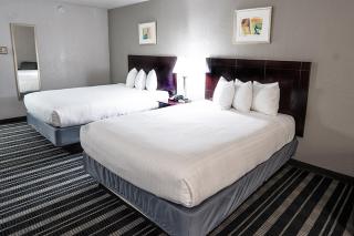 Atrium Hotel and Suites DFW Airport - Irving - 1