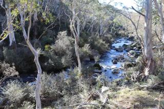 Big Yard Escapes - Two Off-Grid Tiny Houses on the Mowamba River - Jindabyne - 4