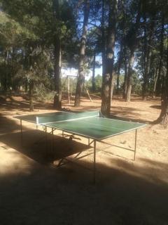 QUINTA ARENlLLAS Palacete en una finca privada de 7 hectáreas de pinar - Navalperal de Pinares - 1