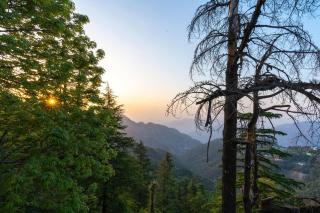 StayVista Mellow Cottage Scenic view near Mall Road - Mussoorie - 7