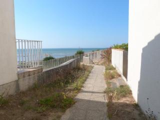Maisonnette cosy à 20 m de la plage avec animaux admis, wifi et parking - FR-1-194-139 - 3