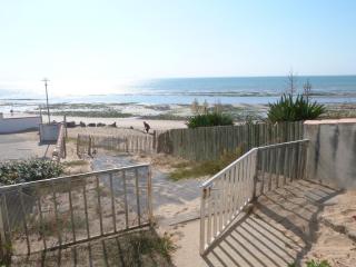 Maisonnette cosy à 20 m de la plage avec animaux admis, wifi et parking - FR-1-194-139 - 2