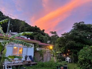 Guesthouse Papaya - Shimoda - 0