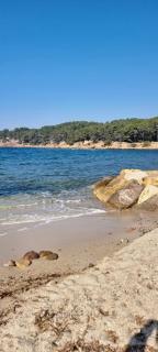 Saint-Mandrier-sur mer Pin Rolland Joli studio plage vacances - Saint-Mandrier-sur-Mer - 3