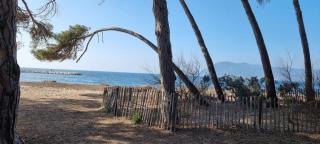 Saint-Mandrier-sur mer Pin Rolland Joli studio plage vacances - Saint-Mandrier-sur-Mer - 2