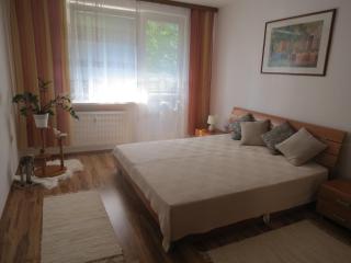 Apartman Classic - 5