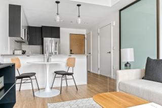 NewCo S End 1BR nr Ink Block w WD Gym BOS-548 - Boston - 9