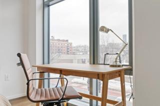 NewCo S End 1BR nr Ink Block w WD Gym BOS-548 - Boston - 2