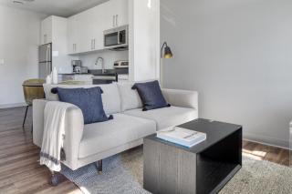 Brighton 1BR w WD Gym nr T Shops Dining BOS-433 - Boston - 8