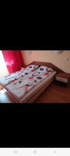 Guest House Lazur - 8