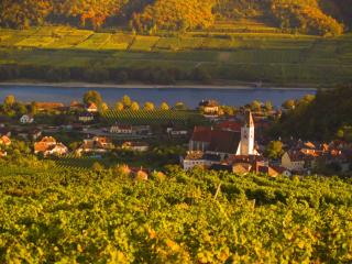 Gartenhotel & Weingut Pfeffel Dürnstein - Dürnstein - 5