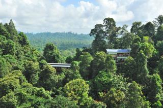 The Last Frontier Boutique Resort - Bilit - 4