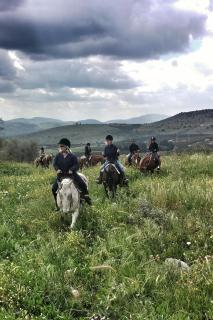 Vered Hagalil Holiday Village Hotel - Chorazim - 8