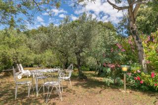 La Poggiolina in Toscana - Guardistallo - 9