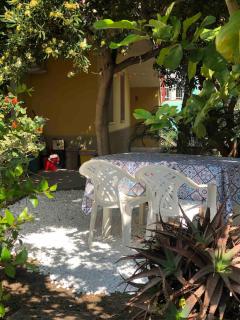 Under the Lemon Tree - La Caletta - 9