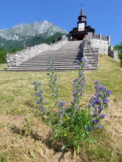 Apartment Kolman - Tolmin - 9