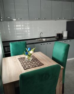 Apartman Green!! - Sremska Mitrovica - 3