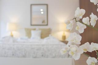 Oliveiras Charming Apartment Downtown - Porto - 6