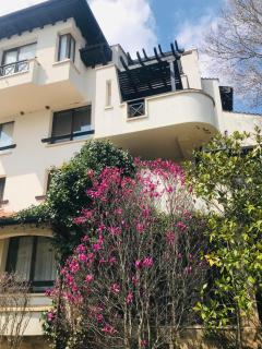 ОАЗИС РИЗОРТ&СПА-премиум апартаменти с гледка море - 1