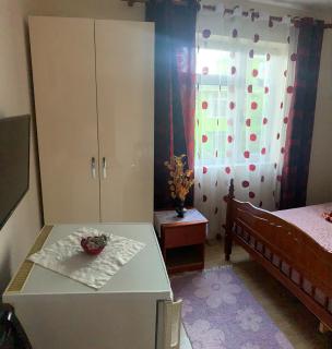 Topciu's Lake Appartments - 3