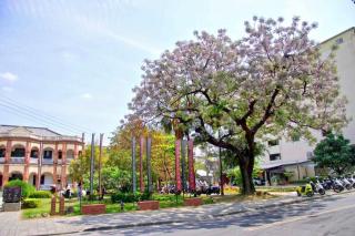 臺南安平 -安平安逸民宿 Anping Guest House - Tainan - 1