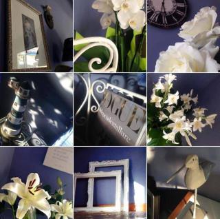 Hotel Solitude - Riccione - 8