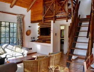 Burchell's Bush lodge - Dudu - 5