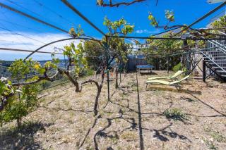 Echapée Belle - Vinayard view - Jacuzzi BBQ - parking - Nice - 7