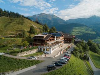 Alpenhotel Wanderniki - Liesing - 1