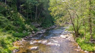 A River Mist - Sugar Grove - 8