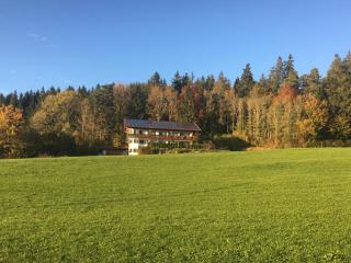 Ferienhaus am Wald - Friesenried - 6