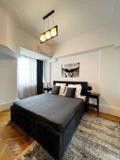 City View - Luxury Apartment - Sanador Victoriei - Bucharest - 4